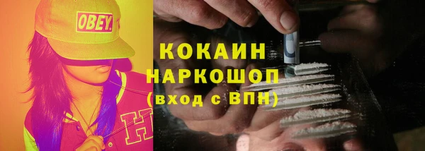 индика Алексин