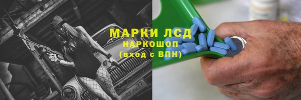 индика Алексин