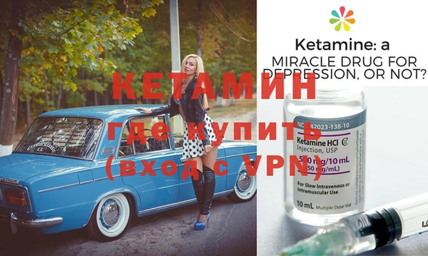 индика Алексин