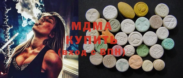 индика Алексин