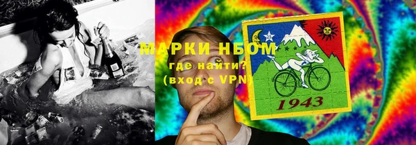 индика Алексин