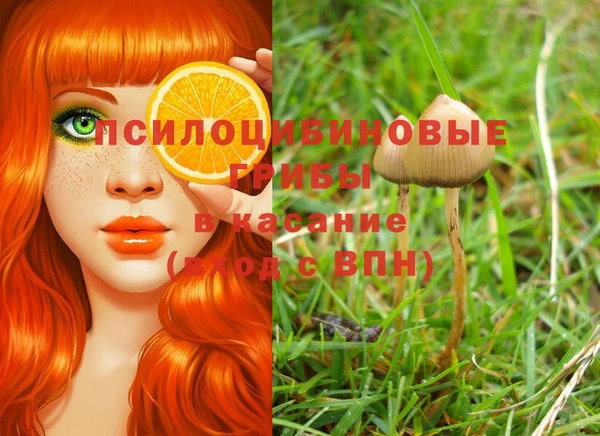 прущая мука Алзамай